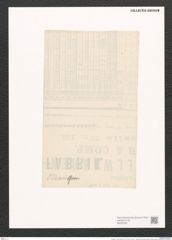 Navicula o'-meari [sic] Grun. (de-Toni-Nr.: Genus 1, Species 638) Zeichnungen Sammlung Grunow (NHMW-BOT-W0367851)